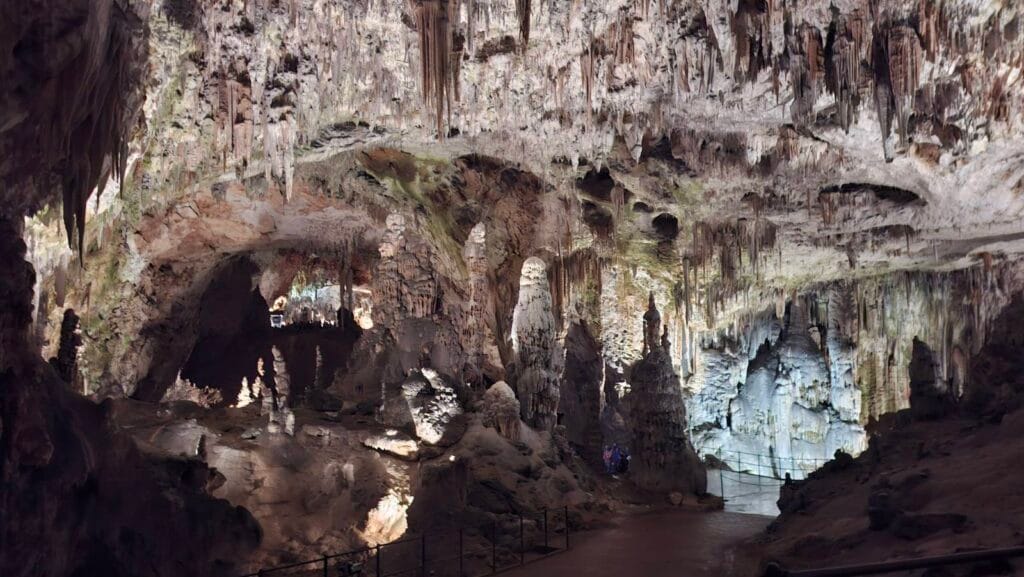 Large chamber in Postojna Cave with dense stalactites hanging from the ceiling and a lit walkway with visitors below
